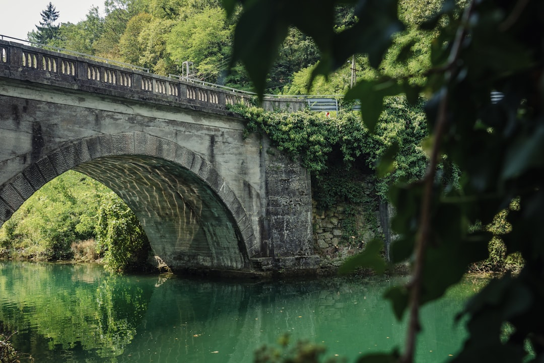 Путеводитель по самым необычным красивым мостам