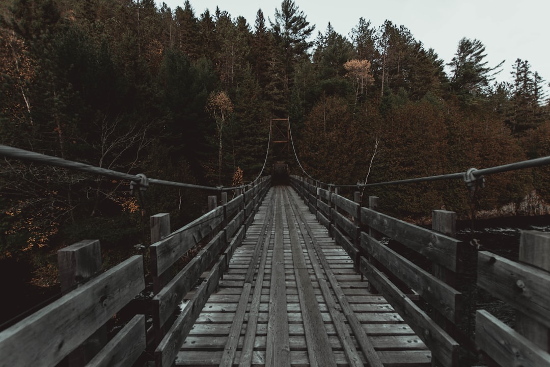 Путеводитель по самым необычным мостам мира