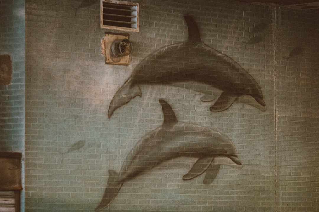 Путевые заметки о встречах с дикой природой