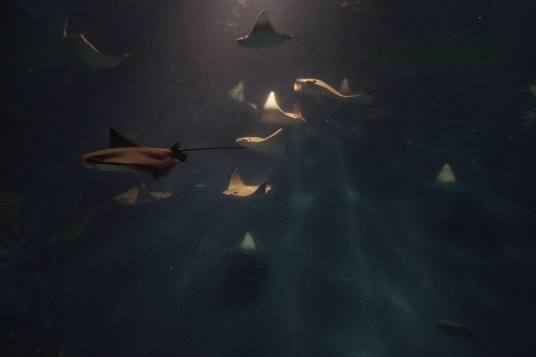 Путевые заметки о встречах с дикой природой