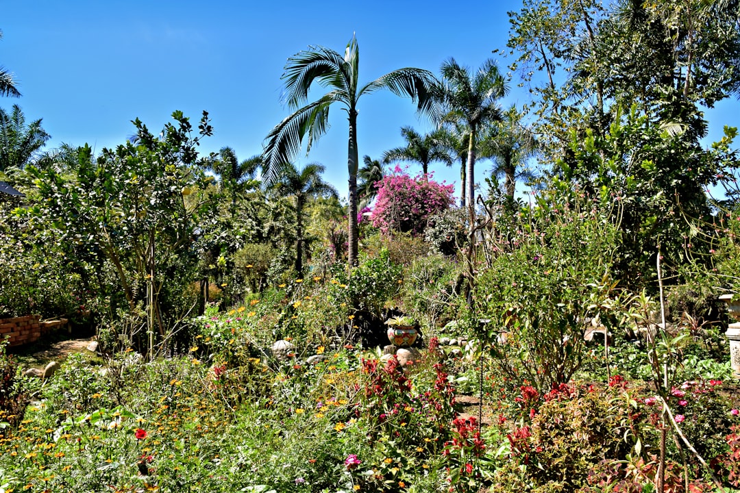 Путевые заметки о встречах с местной флорой и фауной