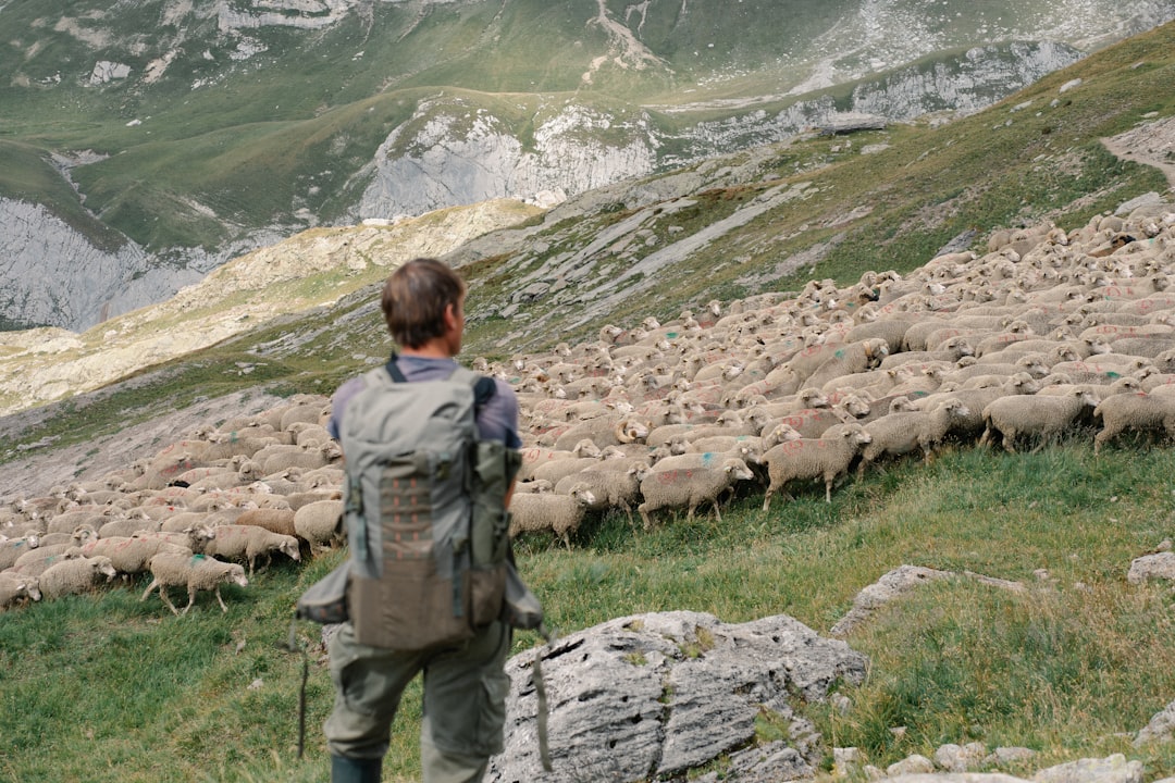 Самостоятельное путешествие vs тургруппа: преимущества и недостатки