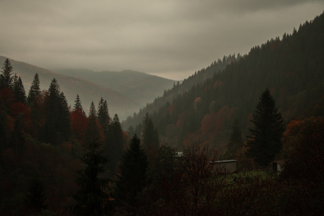 Самые красивые парки и сады мира