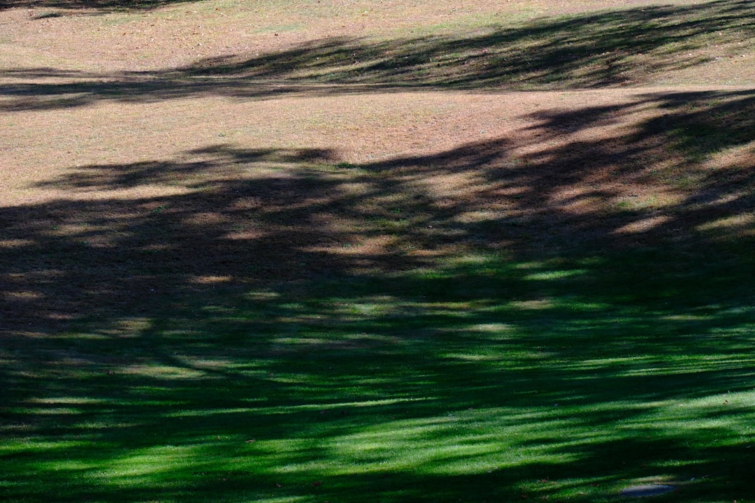 Семейные приключения в тематических парках