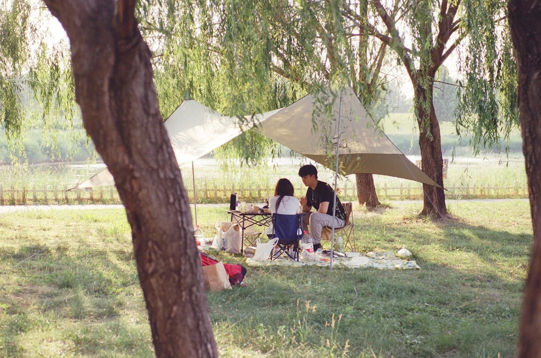 Семейные приключения в тематических парках