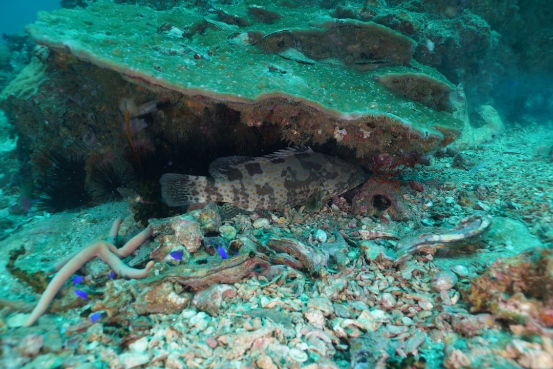 Сокровища под водой: подводные археологические находки