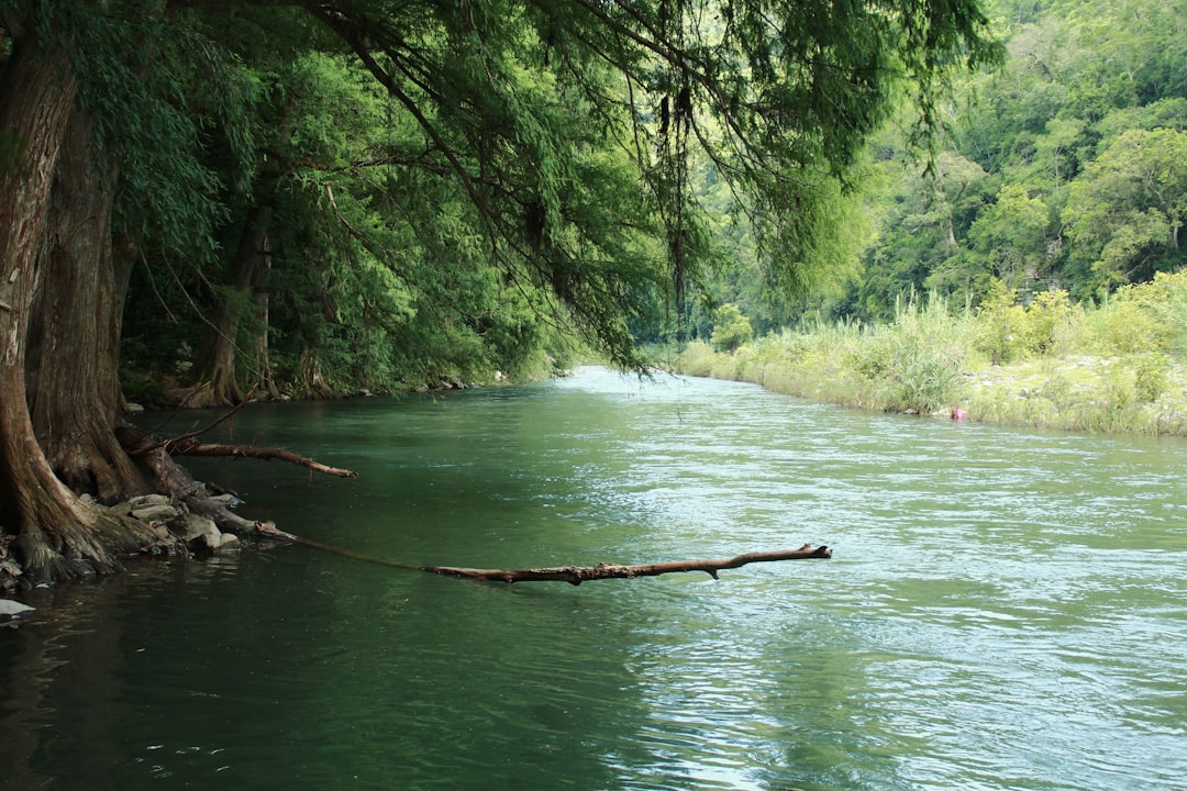 Сплав по рекам: водные приключения и каякинг