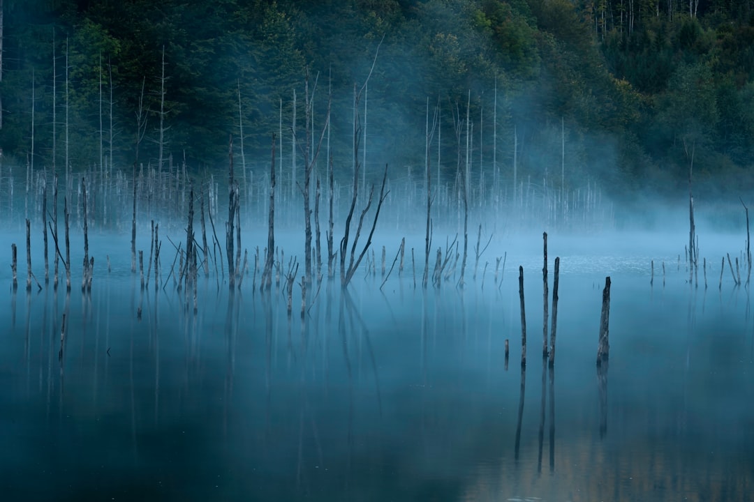 Таинственные озера и их загадочные легенды