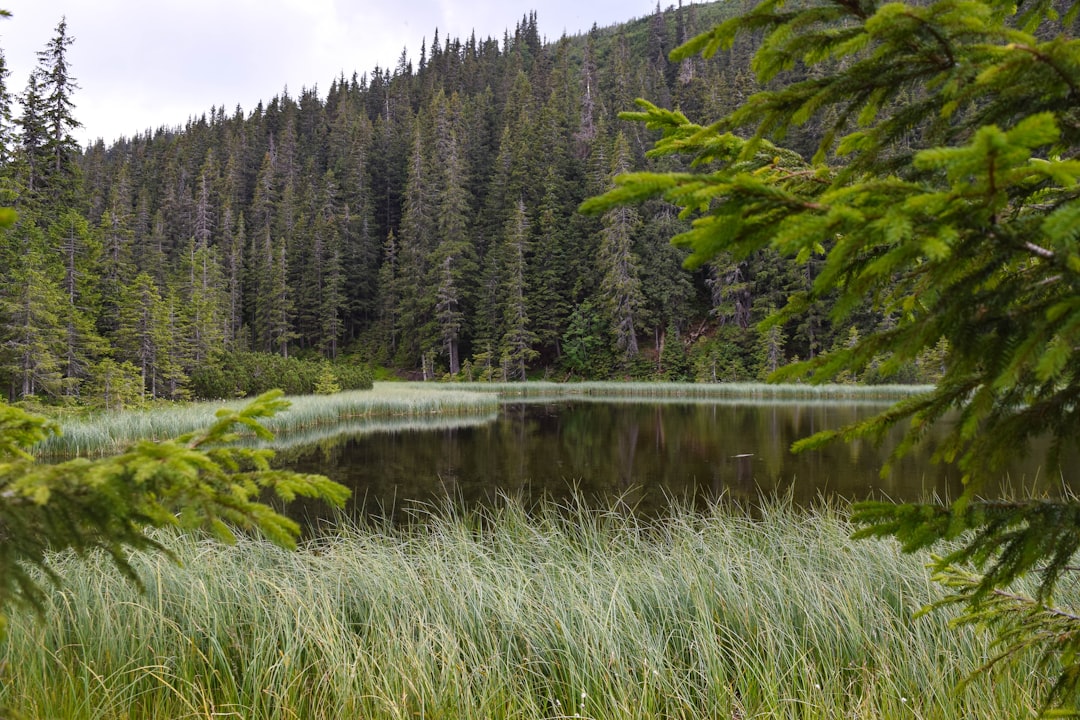 Таинственные озера и их загадочные легенды