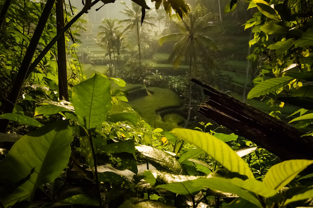 Топ 10 самых экзотических рынков мира