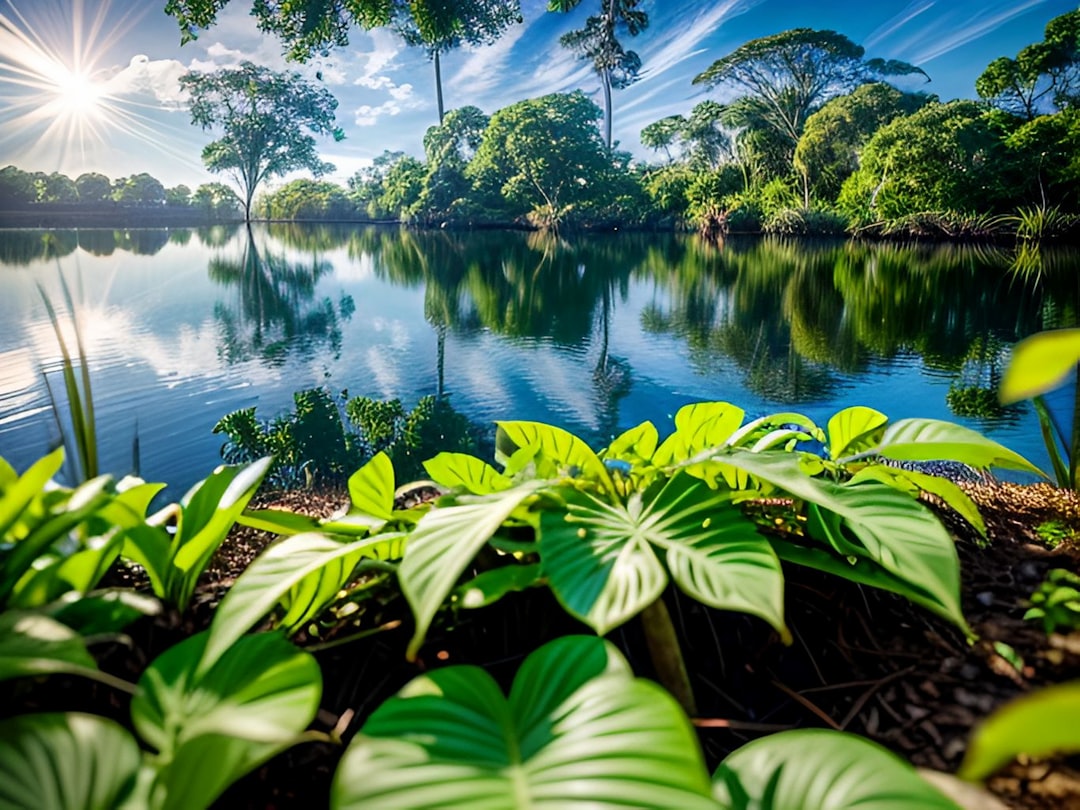 Топ 10 самых экзотических рынков мира