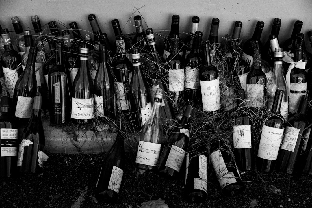 Тур по винным погребам и дегустации вин