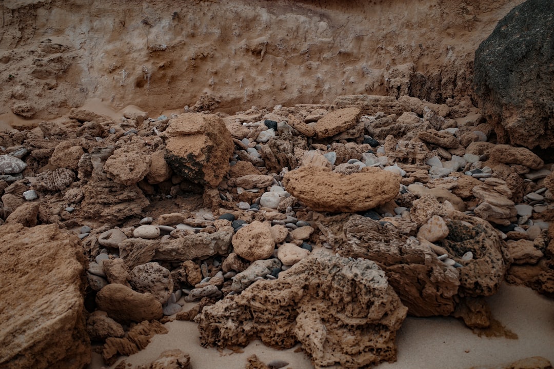 В поисках сокровищ: археологические раскопки