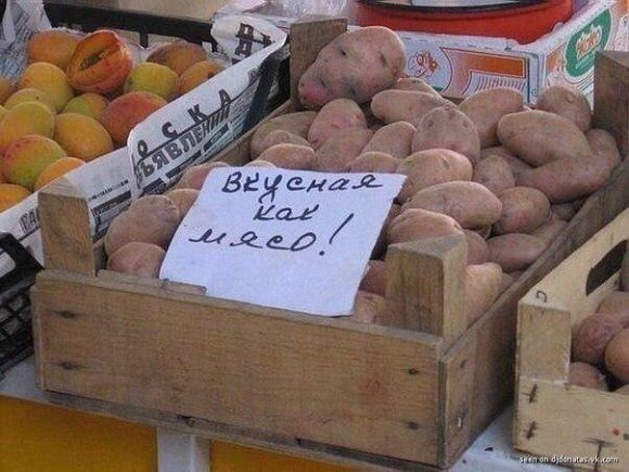 Из Нижнего Новгорода в Минск за 2500 рублей (в феврале)
