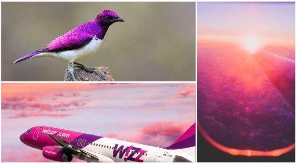 Распродажа Wizz Air: скидка 25% на билеты для членов Wizz Discount Club